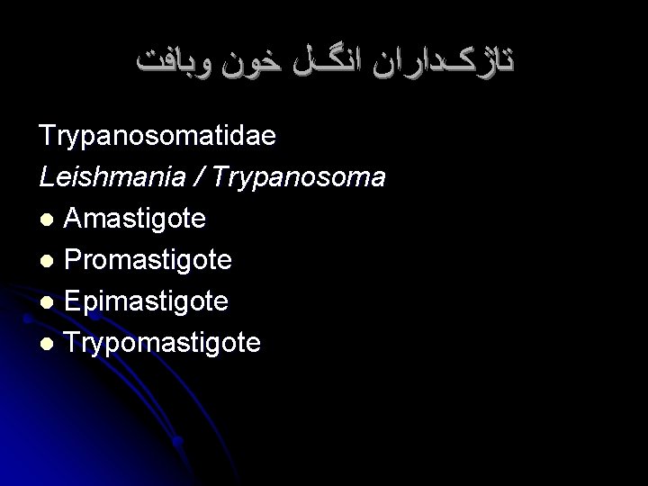  ﺗﺎژکﺪﺍﺭﺍﻥ ﺍﻧگﻞ ﺧﻮﻥ ﻭﺑﺎﻓﺖ Trypanosomatidae Leishmania / Trypanosoma l Amastigote l Promastigote l