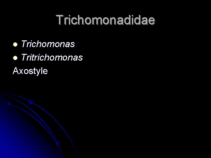 Trichomonadidae Trichomonas l Tritrichomonas Axostyle l 