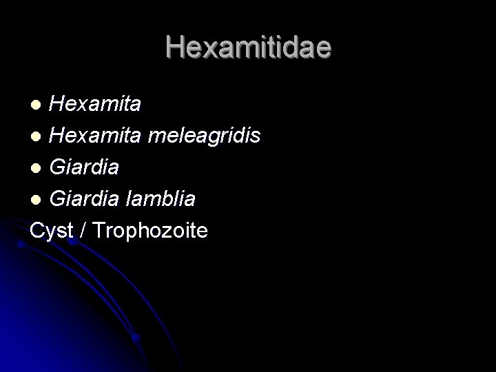 Hexamitidae Hexamita l Hexamita meleagridis l Giardia lamblia Cyst / Trophozoite l 