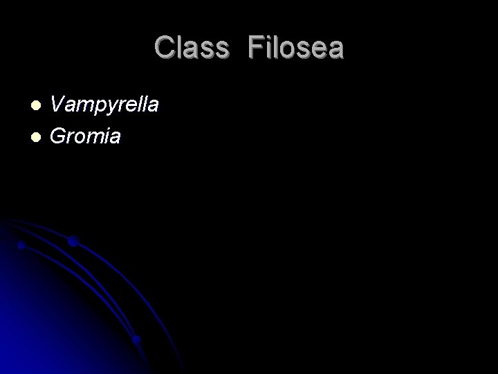 Class Filosea Vampyrella l Gromia l 