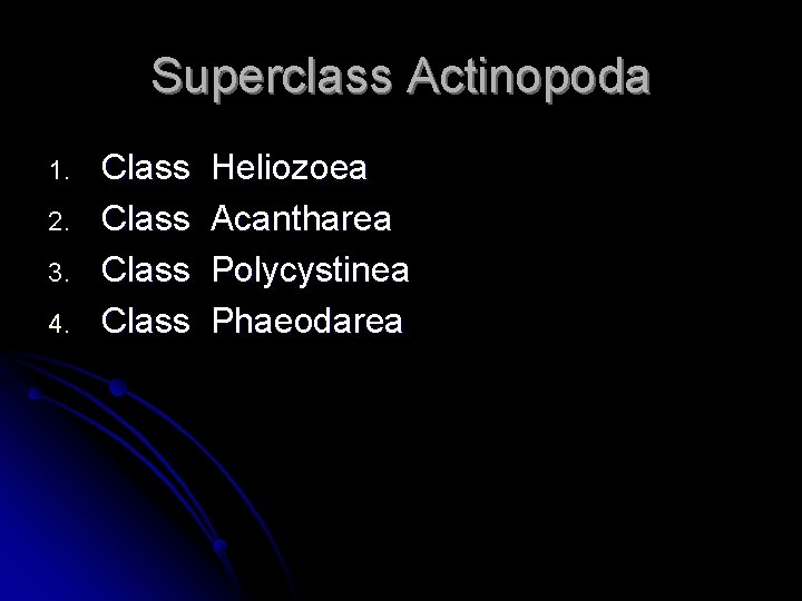 Superclass Actinopoda 1. 2. 3. 4. Class Heliozoea Acantharea Polycystinea Phaeodarea 