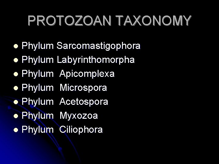 PROTOZOAN TAXONOMY Phylum Sarcomastigophora l Phylum Labyrinthomorpha l Phylum Apicomplexa l Phylum Microspora l