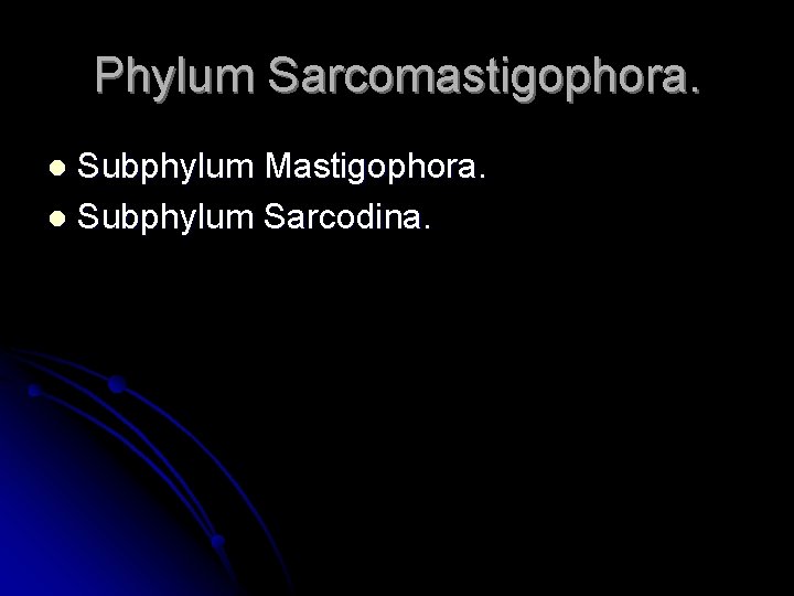Phylum Sarcomastigophora. Subphylum Mastigophora. l Subphylum Sarcodina. l 