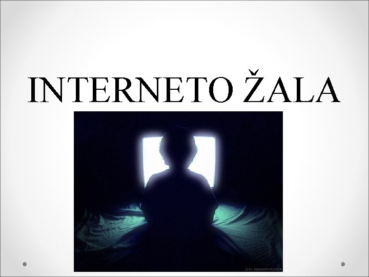 INTERNETO ŽALA 