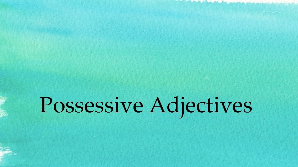 Possessive Adjectives 