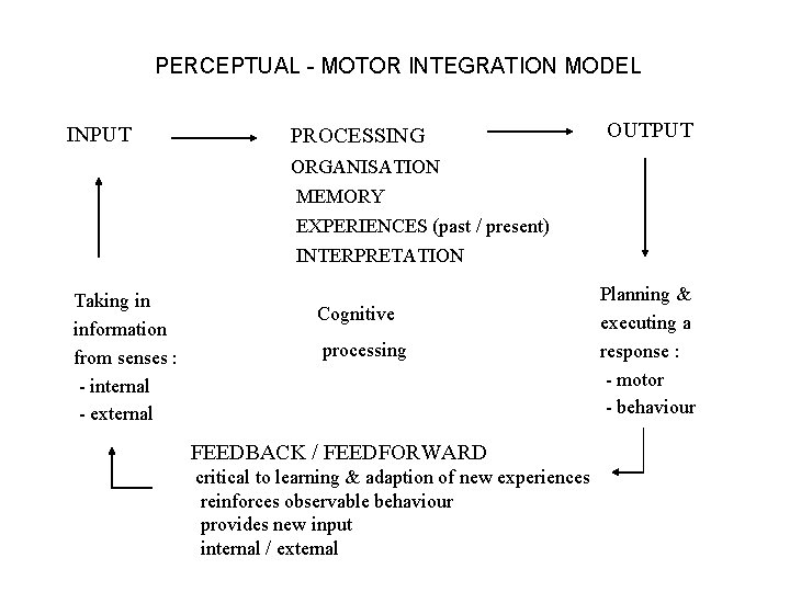 PERCEPTUAL - MOTOR INTEGRATION MODEL INPUT PROCESSING OUTPUT ORGANISATION MEMORY EXPERIENCES (past / present)