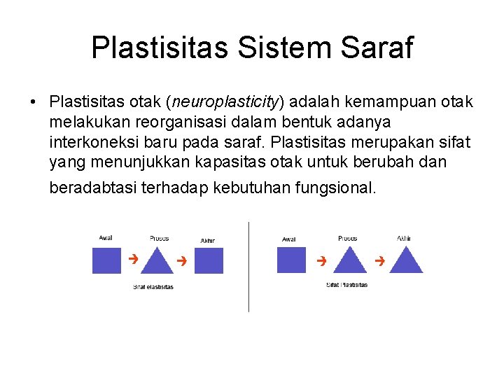 Plastisitas Sistem Saraf • Plastisitas otak (neuroplasticity) adalah kemampuan otak melakukan reorganisasi dalam bentuk