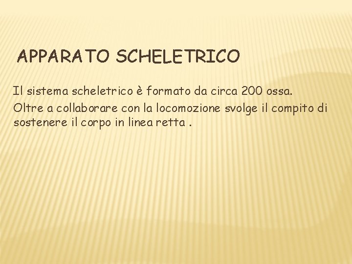 APPARATO SCHELETRICO Il sistema scheletrico è formato da circa 200 ossa. Oltre a collaborare