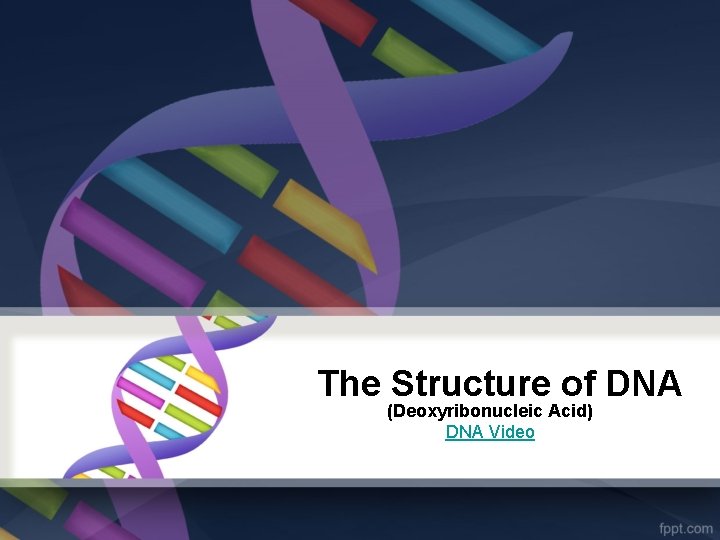 The Structure of DNA (Deoxyribonucleic Acid) DNA Video 