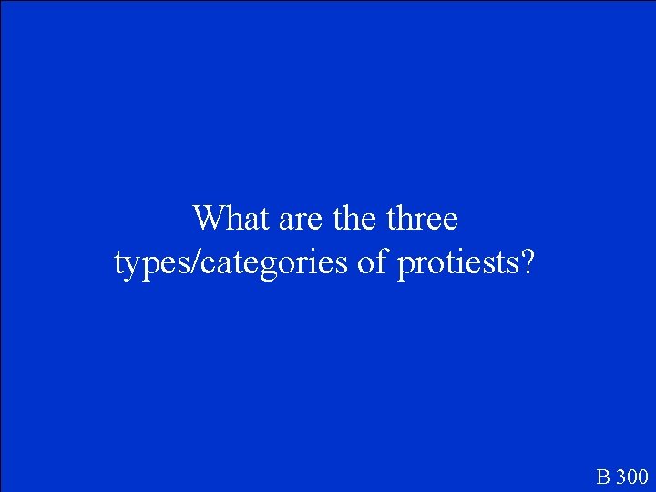 What are three types/categories of protiests? B 300 