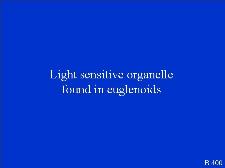 Light sensitive organelle found in euglenoids B 400 