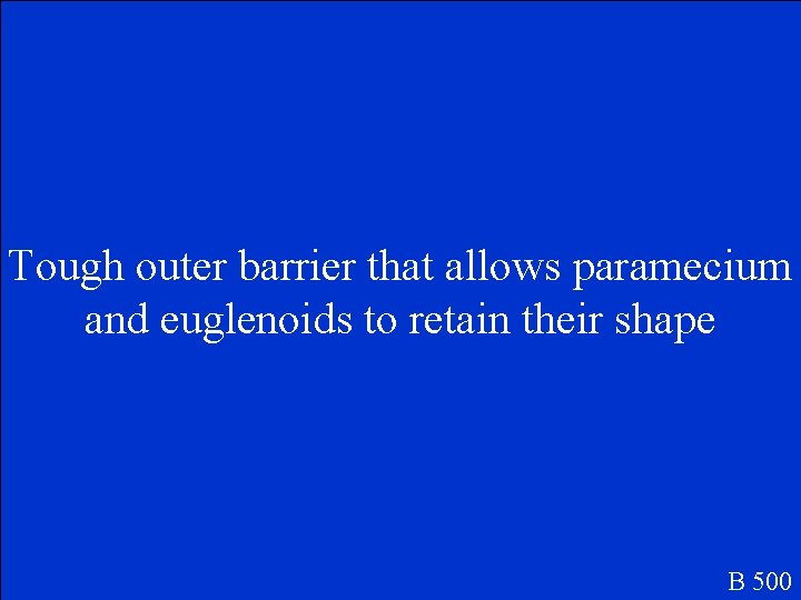 Tough outer barrier that allows paramecium and euglenoids to retain their shape B 500