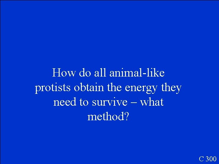 How do all animal-like protists obtain the energy they need to survive – what