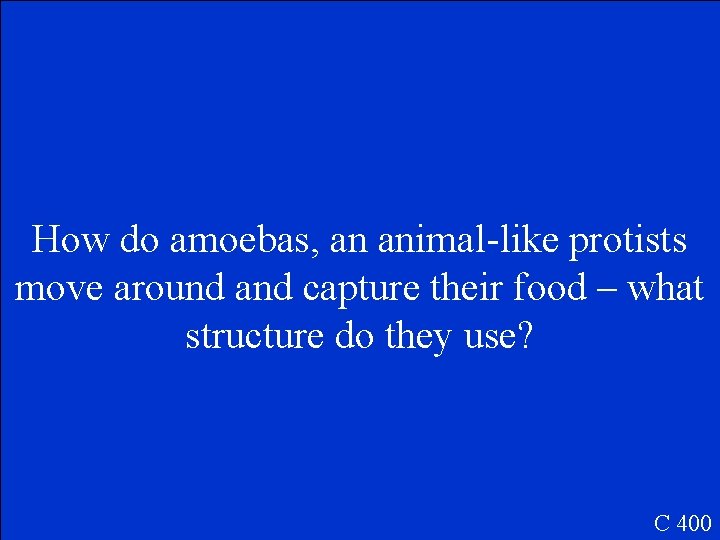 How do amoebas, an animal-like protists move around and capture their food – what