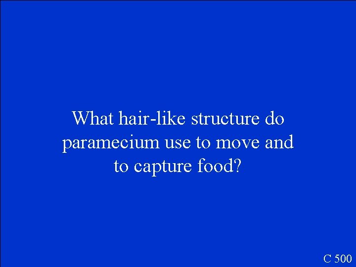 What hair-like structure do paramecium use to move and to capture food? C 500