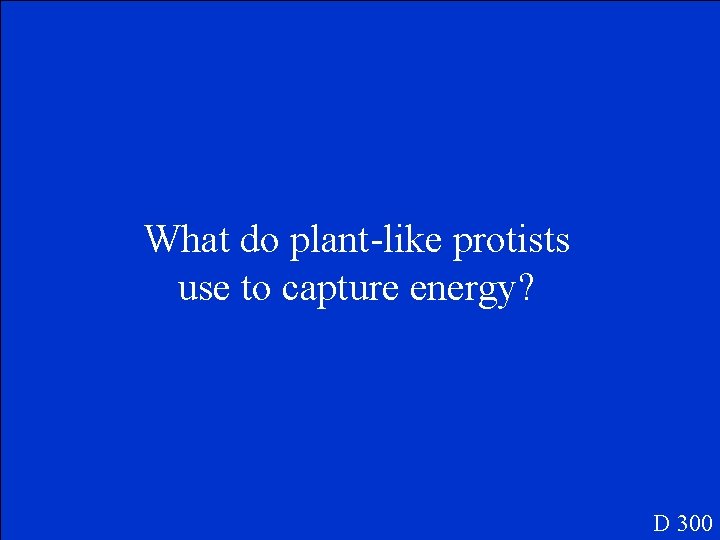 What do plant-like protists use to capture energy? D 300 