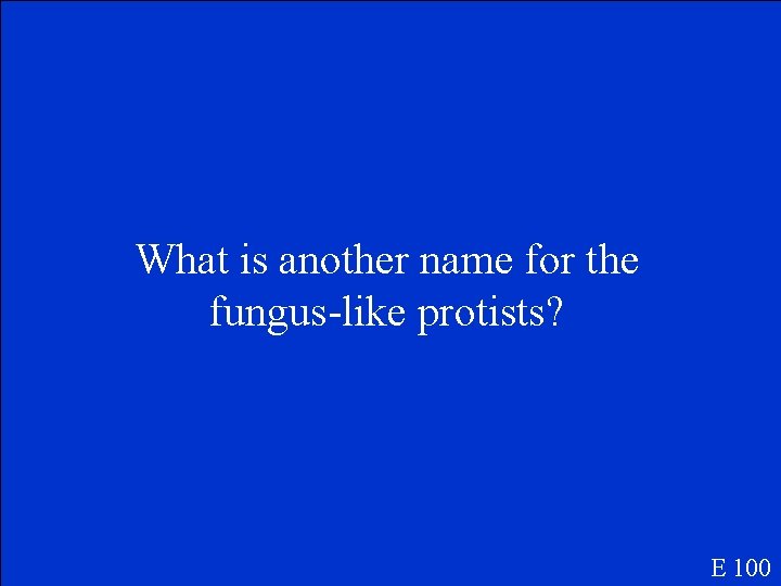 What is another name for the fungus-like protists? E 100 