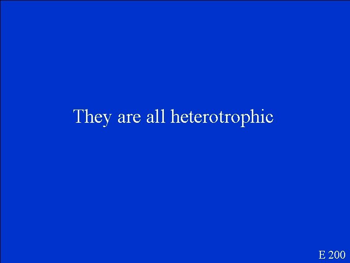 They are all heterotrophic E 200 