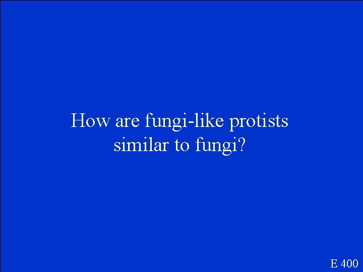 How are fungi-like protists similar to fungi? E 400 