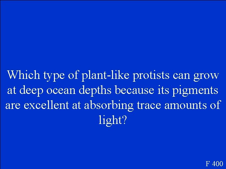 Which type of plant-like protists can grow at deep ocean depths because its pigments