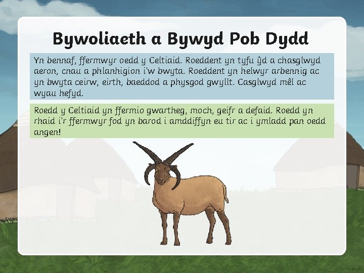 Bywoliaeth a Bywyd Pob Dydd Yn bennaf, ffermwyr oedd y Celtiaid. Roeddent yn tyfu