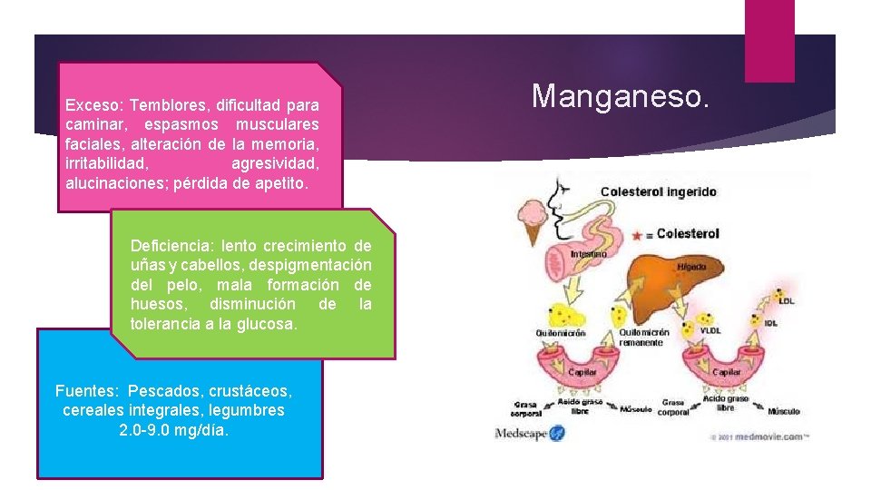 Exceso: Temblores, dificultad para caminar, espasmos musculares faciales, alteración de la memoria, irritabilidad, agresividad,