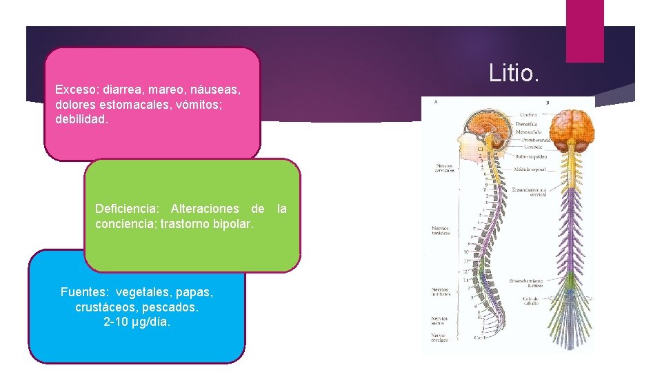 Exceso: diarrea, mareo, náuseas, dolores estomacales, vómitos; debilidad. Deficiencia: Alteraciones de la conciencia; trastorno