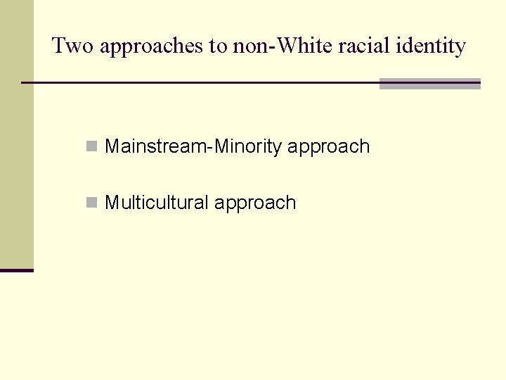 Two approaches to non-White racial identity n Mainstream-Minority approach n Multicultural approach 