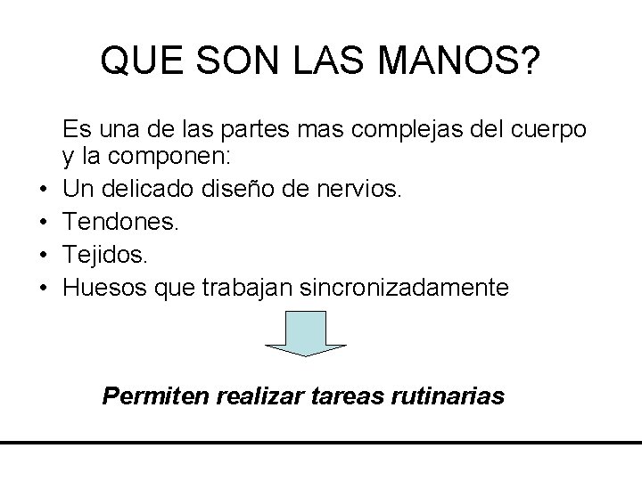 QUE SON LAS MANOS? • • Es una de las partes mas complejas del