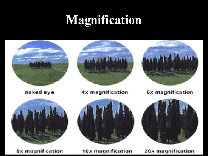 Microscope E Magnification Example IFFAT FATIMA UOG ELECTRON MICROSCOPE Contents History LM