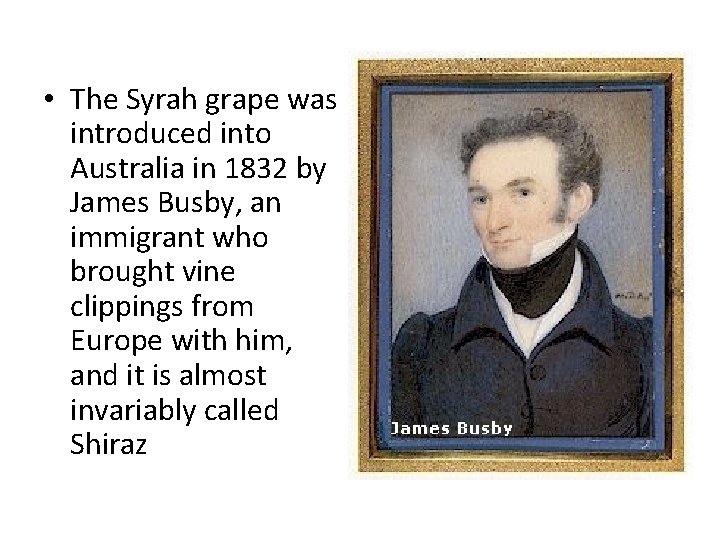  • The Syrah grape was introduced into Australia in 1832 by James Busby,