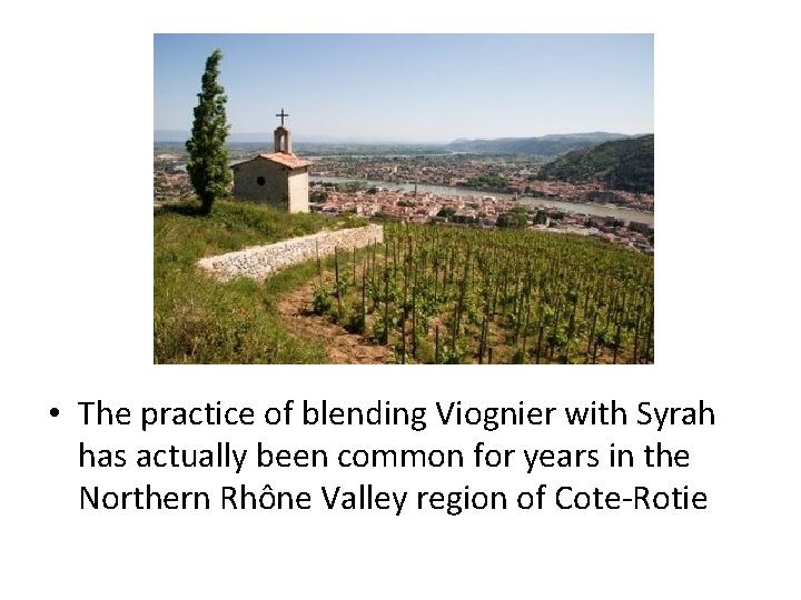  • The practice of blending Viognier with Syrah has actually been common for