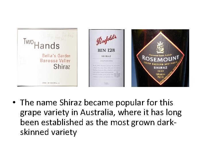  • The name Shiraz became popular for this grape variety in Australia, where