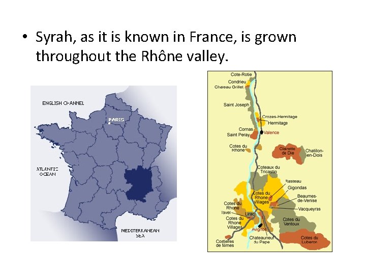  • Syrah, as it is known in France, is grown throughout the Rhône