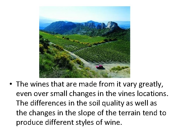  • The wines that are made from it vary greatly, even over small