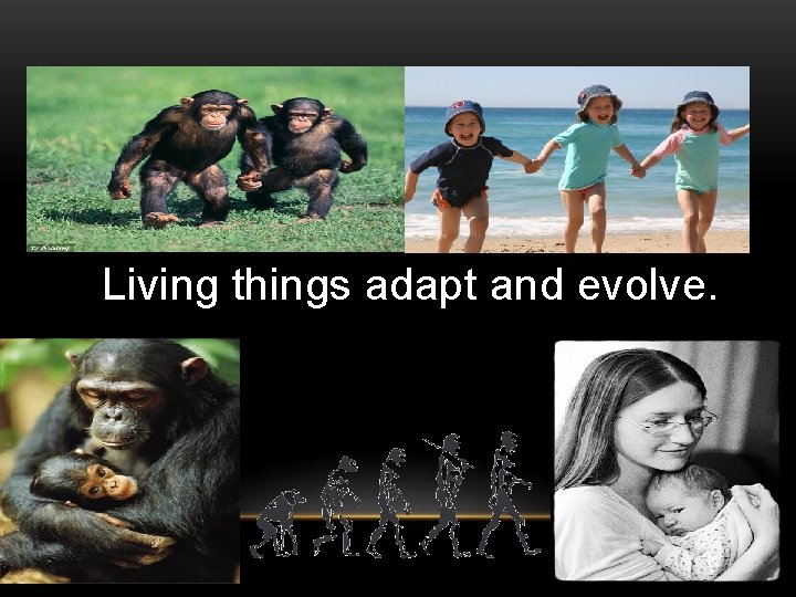 Living things adapt and evolve. 