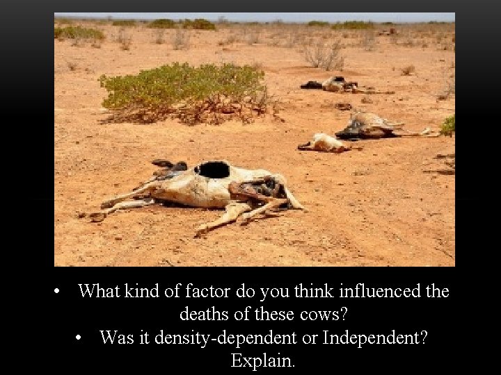  • What kind of factor do you think influenced the deaths of these