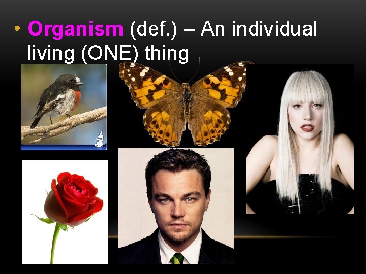  • Organism (def. ) – An individual living (ONE) thing 