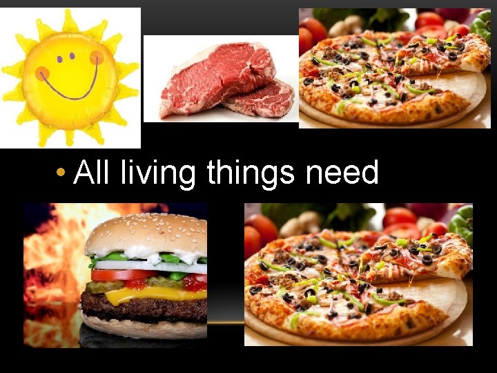  • All living things need energy 