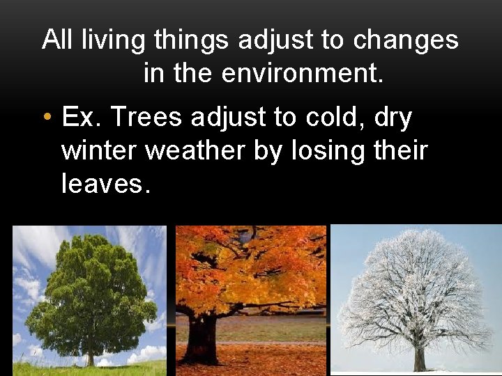 All living things adjust to changes in the environment. • Ex. Trees adjust to