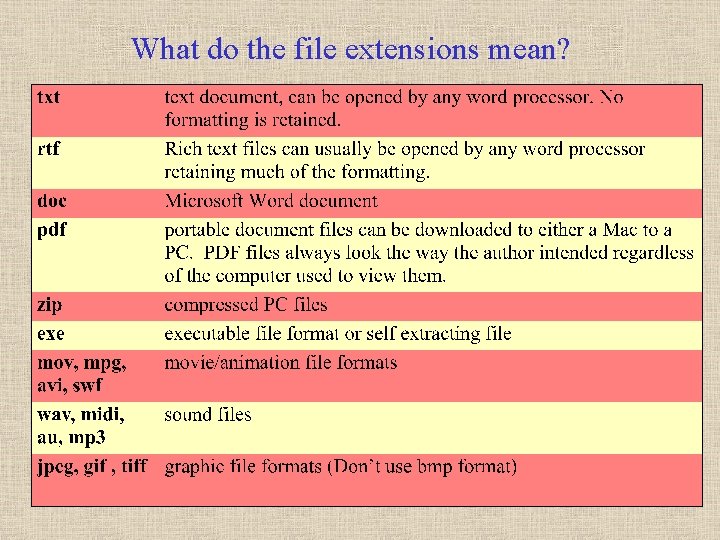 What do the file extensions mean? 