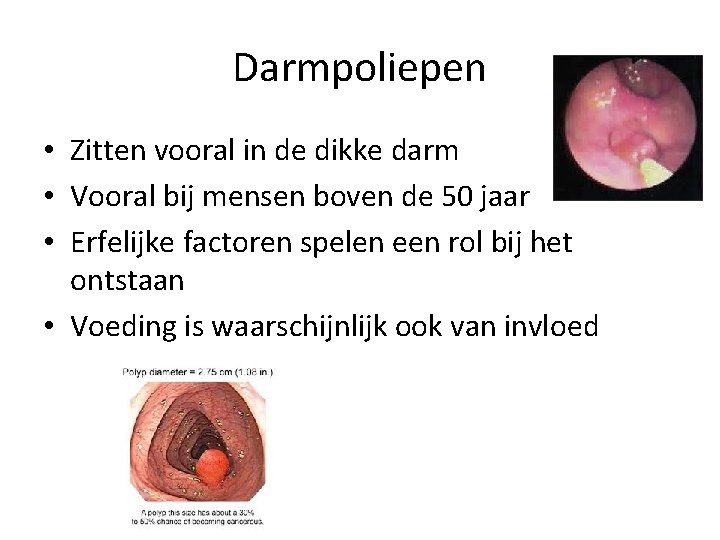 Darmpoliepen • Zitten vooral in de dikke darm • Vooral bij mensen boven de