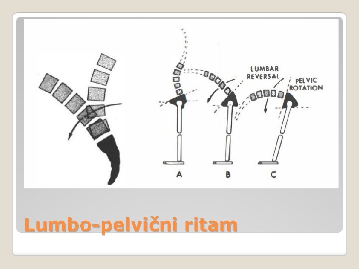 Lumbo-pelvični ritam 