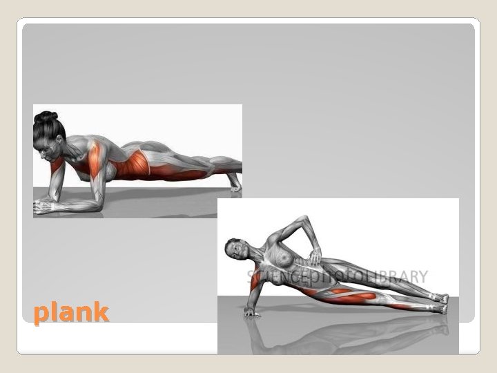 plank 