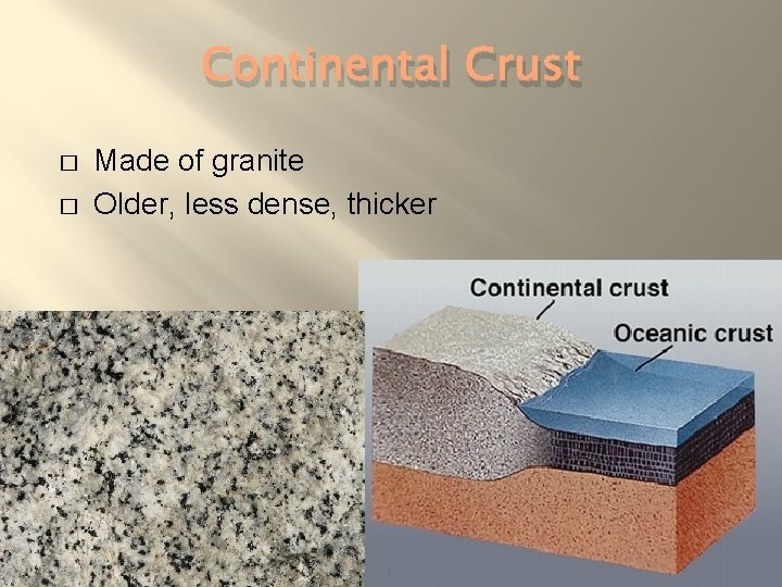 Continental Crust � � Made of granite Older, less dense, thicker 