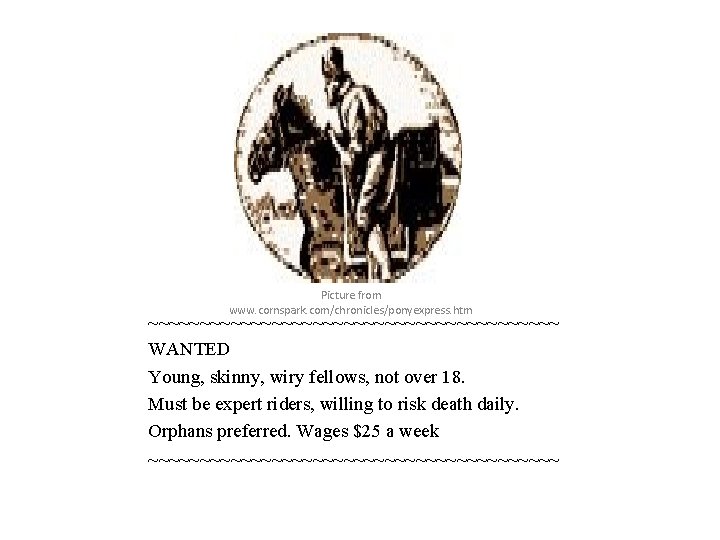 Picture from www. cornspark. com/chronicles/ponyexpress. htm ~~~~~~~~~~~~~~~~~~~~ WANTED Young, skinny, wiry fellows, not over