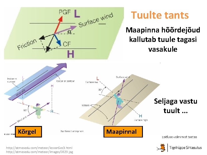 Tuulte tants Maapinna hõõrdejõud kallutab tuule tagasi vasakule Seljaga vastu tuult. . . Kõrgel