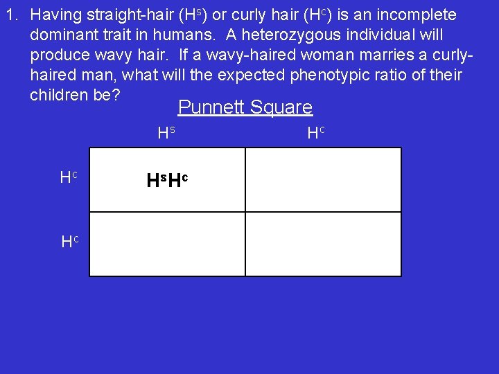 1. Having straight-hair (Hs) or curly hair (Hc) is an incomplete dominant trait in