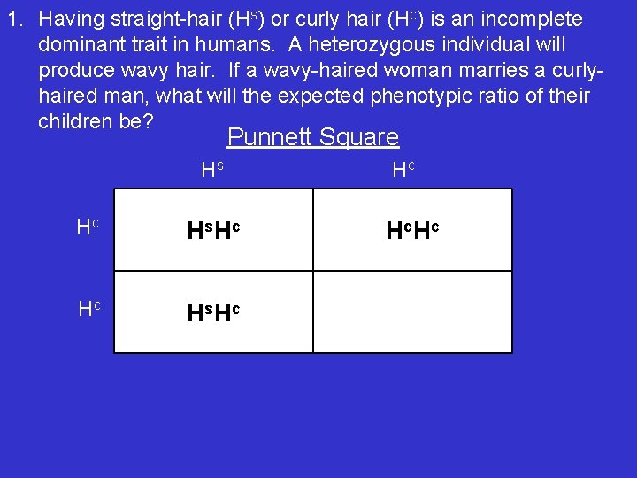 1. Having straight-hair (Hs) or curly hair (Hc) is an incomplete dominant trait in