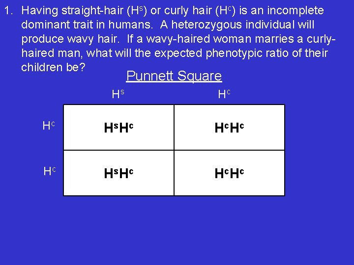 1. Having straight-hair (Hs) or curly hair (Hc) is an incomplete dominant trait in